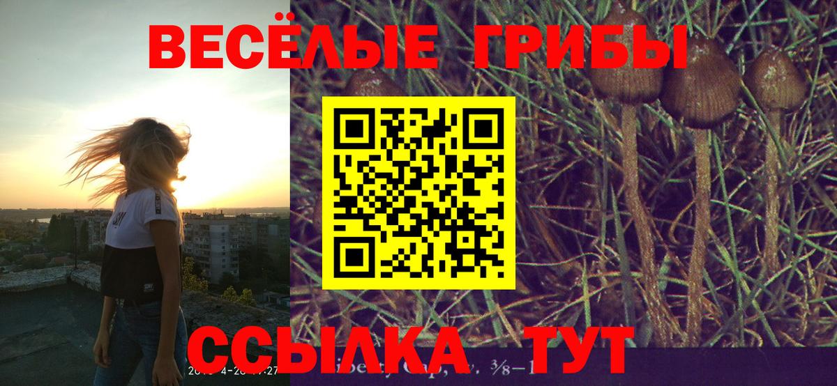 Галлюциногенные грибы Cubensis Сатка